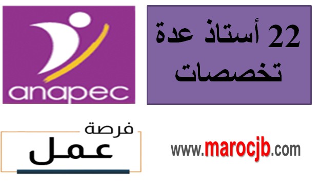 تشغيل 22 أستاذ عدة تخصصات-عبر وكالة أنابيك