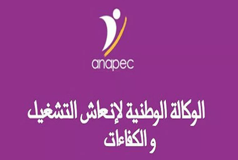 Anapec recrute 77 Chauffeurs de Transport Scolaire