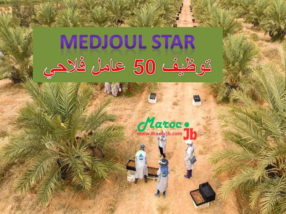 🌴 50 فرصة عمل كعمال فلاحيين بالرشيدية 2026